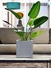 Argento Cube 40 - Natural Grey - Plantruimte 33x33