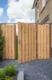Geschaafde plank douglas 180x16x1,8 cm Blank