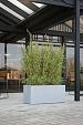 Argento Box 90 - Natural Grey - Plantruimte 83x33