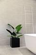 Argento Cube 30 - Black - Plantruimte 24x24