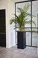 Argento High Cube 100 - Black - Plantruimte 33x33