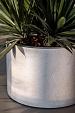 Grigio Cylinder 48 - Antique White - Plantruimte Ø40