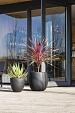 Grigio Egg Pot 50 - Anthracite - Plantruimte Ø44