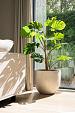 Grigio Metallic New Egg Pot 45 - Champagne - Plantruimte Ø37