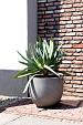 Grigio New Egg Pot 65 - Natural Concrete - Plantruimte Ø55
