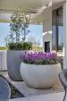 Grigio Tall Egg Pot 52 - Natural Concrete - Plantruimte Ø44