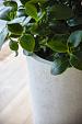 Grigio Vase 90 - Antique White - Plantruimte Ø39