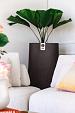Rondello Vase 110 - Ash Brown
