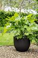 Terreno New Egg Pot 45 - Earth - Plantruimte Ø37