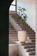Terreno Tall Balloon 55 - Sand - Plantruimte Ø41