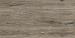 TwentyGres 30x120x2 Eiche (EIKEN) Timber