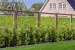 Gaaselement met kader 44x68mm Robuust 180x180cm Geïmpregneerd