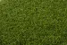 LimeGreen ONE DNA? - Orion 40mm