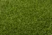 LimeGreen ONE DNA? - Sage 45mm