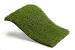 Royal Grass Blossom  2m breed