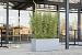 Argento Box 120 - Natural Grey - Plantruimte 111x41