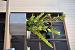 Argento Cube 40 - Natural Grey - Plantruimte 33x33