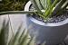 Argento New Egg Pot 45 - Natural Grey - Plantruimte Ø37