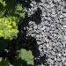 Nordic Grey Grind 12-18mm MB (0,5m3 750kg)