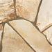Flagstones Florida Yellow, ca 2-4 cm dik 4-8 stuks per m2