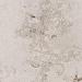 Jura Grau banen 30x1,5 cm Gezoet (advies Ardex N23W) (excl. verpakking)