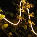 Serra 1m - strip | warmwit | 4 watt per meter | dimbaar | OutdoorPro+ | 12 volt