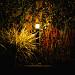 Vela (L) staande lamp | warmwit | 4 watt | dimbaar | OutdoorPro+ | 12 volt