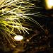 Peral - rond zwart grondspot | warmwit | 2 watt | OutdoorPro+ | 12 volt