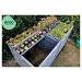 Terragrow seedtray