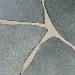 Flagstones Alta