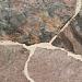Flagstones Violetto