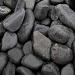 Glitter Stone Black Premium