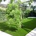 Royal Grass Silk 35 2m breed