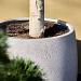 Grigio Modern Pot 44 - Natural Concrete - Plantruimte Ø35