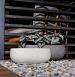 Grigio Longtail 65 - Antique White - Plantruimte 58x25,5