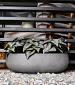 Grigio Longtail 65 - Natural Concrete - Plantruimte 58x25,5