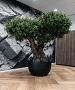 Grigio New Egg Pot Low 80 - Anthracite - Plantruimte Ø72