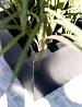 Argento Cube 40 - Black - Plantruimte 33x33
