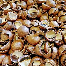 20 ltr Macadamiadoppen