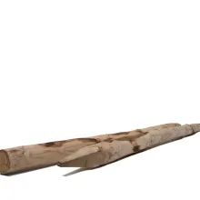 Kastanje Paal Ø8/10x180cm
