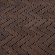 DF80 Vividus PAARS-BRUIN