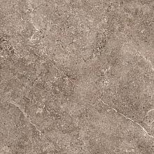 GeoCeramica 100x100x4 Landstone Earth (