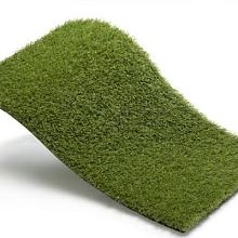 Royal Grass Aura  2m breed