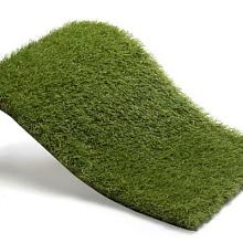 Royal Grass Blossom  2m breed