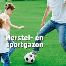 Bioflor Herstel/Sportgazon graszaad 1 kg