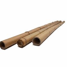 Bamboepaal 10-12 cm x 300 cm