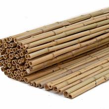 Bamboe rols. Dalian 100-180 cm