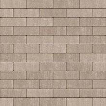 Aria Altviool 21x7x7