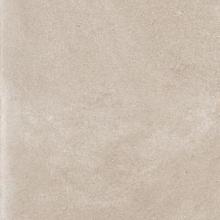 Dijon 60x60x2 Coquille DJ01