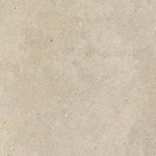 Elysian 120x60x2 Gold Catalan EY09
